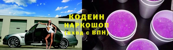 ГАЛЛЮЦИНОГЕННЫЕ ГРИБЫ Арсеньев