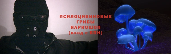 ГАЛЛЮЦИНОГЕННЫЕ ГРИБЫ Арсеньев