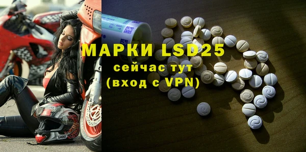ГАЛЛЮЦИНОГЕННЫЕ ГРИБЫ Арсеньев